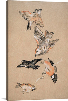  “Love leading the Pilgrim - Study of Birds: Finches” is a captivating artwork that captures the delicate grace and vibrant energy of finches in flight. The artist’s masterful technique breathes life into these ethereal creatures, making them dance against the muted backdrop with an elegance that beckons viewers into a world where beauty and peace reign supreme.