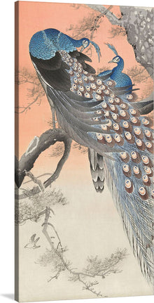  This exquisite artwork captures the ethereal beauty of two peacocks perched gracefully upon gnarled branches, enveloped in an atmosphere of serene elegance. The meticulous detailing of the peacocks’ iridescent feathers, each one a testament to the artist’s skill, dances in harmony with the delicate blossoms and leaves that surround them. Set against a backdrop that transitions seamlessly from a warm, golden hue to a tranquil grey, this piece evokes a sense of timeless beauty and peaceful coexistence.