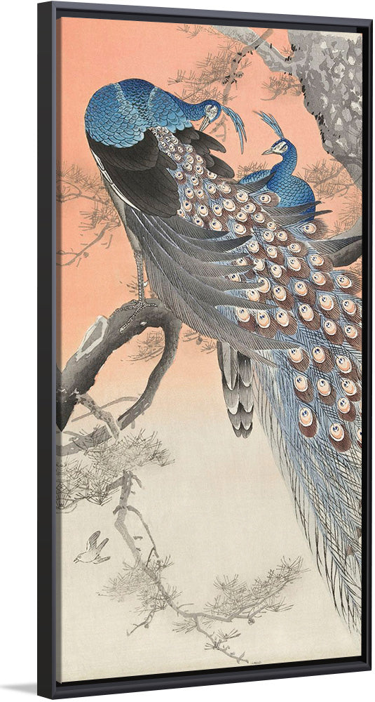 "Two Peacocks on Tree Branch (1806-1876)", Charles Dessalines D' Orbigny