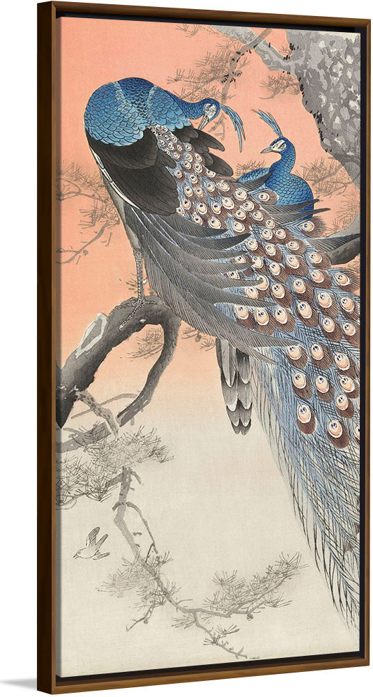 "Two Peacocks on Tree Branch (1806-1876)", Charles Dessalines D' Orbigny