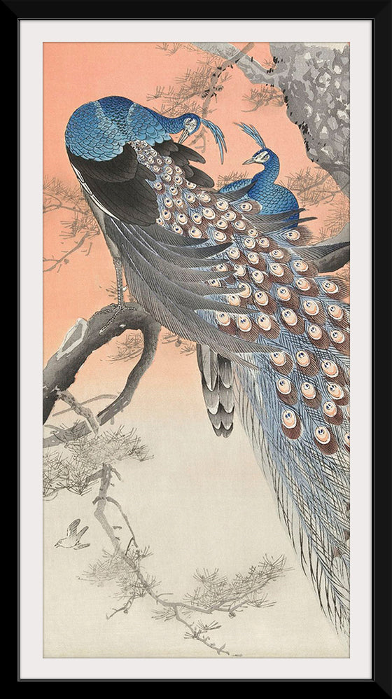 "Two Peacocks on Tree Branch (1806-1876)", Charles Dessalines D' Orbigny