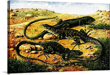  This print, titled “Lizards in the Sun”, is a reproduction of an original artwork that encapsulates the raw beauty and intricate details of nature. The scene unfolds on a canvas of rugged terrain, where three majestic lizards, adorned with intricate patterns and scales, bask under the golden sun. Every stroke, every hue is a testament to the artist’s mastery and devotion to capturing life in its most primal form.