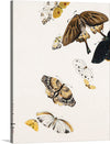 Shibata Zeshin’s “Butterflies” is a beautiful and delicate artwork that would make a great addition to any home. The print features a variety of butterflies in different colors and sizes, creating a sense of depth and movement. The butterflies are arranged in a way that creates a sense of depth and movement.