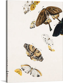  Shibata Zeshin’s “Butterflies” is a beautiful and delicate artwork that would make a great addition to any home. The print features a variety of butterflies in different colors and sizes, creating a sense of depth and movement. The butterflies are arranged in a way that creates a sense of depth and movement.