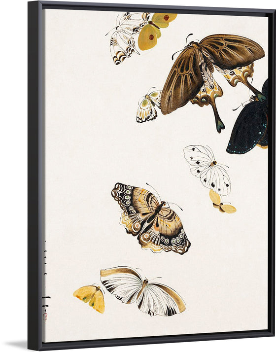 "Butterflies", Shibata Zeshin