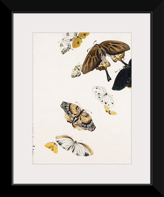 "Butterflies", Shibata Zeshin