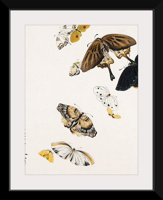 "Butterflies", Shibata Zeshin