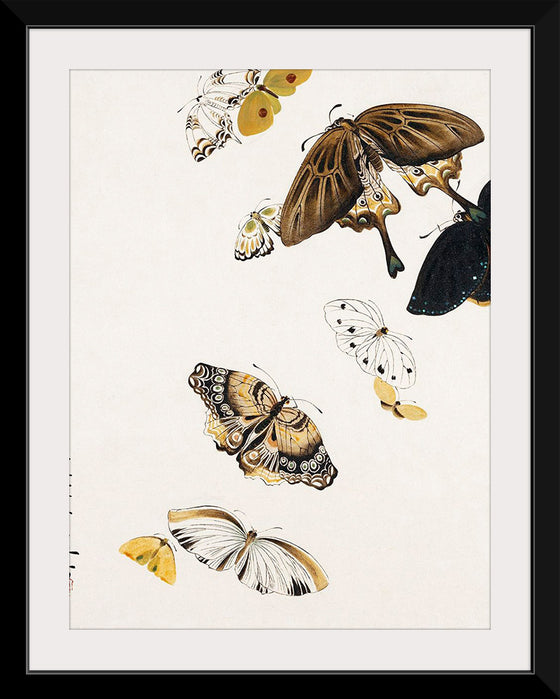 "Butterflies", Shibata Zeshin