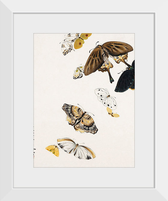 "Butterflies", Shibata Zeshin