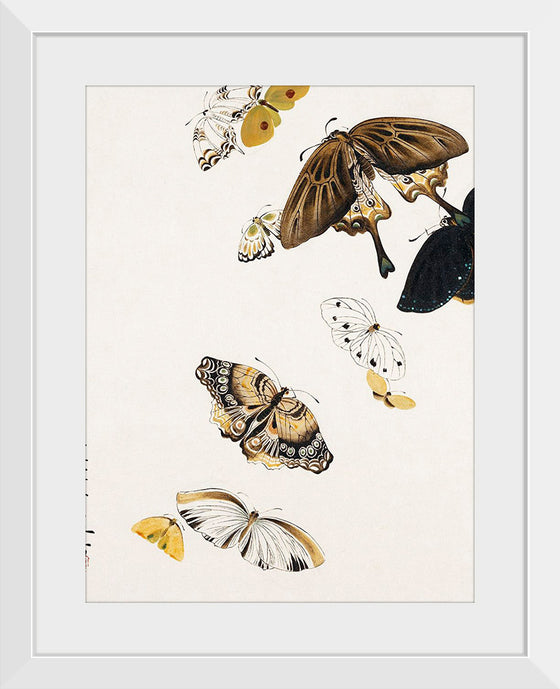 "Butterflies", Shibata Zeshin