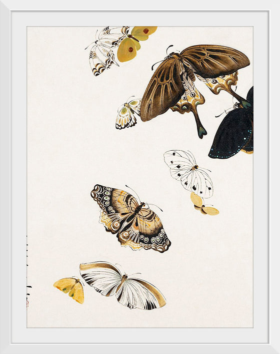 "Butterflies", Shibata Zeshin