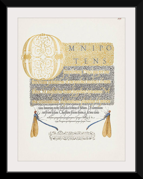 "Damselflies from Mira Calligraphiae Monumenta", Georg Bocskay and Joris Hoefnagel