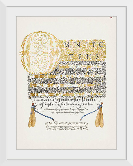 "Damselflies from Mira Calligraphiae Monumenta", Georg Bocskay and Joris Hoefnagel