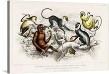  Immerse yourself in the enchanting world of primates with this exquisite print. Each monkey, rendered with meticulous detail, leaps and plays amidst lush foliage, their eyes gleaming with life and energy. The artist captures not just the physical attributes but the very essence of these magnificent creatures. Every stroke, every hue is a tribute to the wild, untethered spirit of the jungle. 