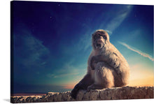  This captivating print features a majestic baboon set against a vivid blue sky. The intense gaze of the baboon draws you in, while the contrast of earthy tones against the sky creates a striking composition. 