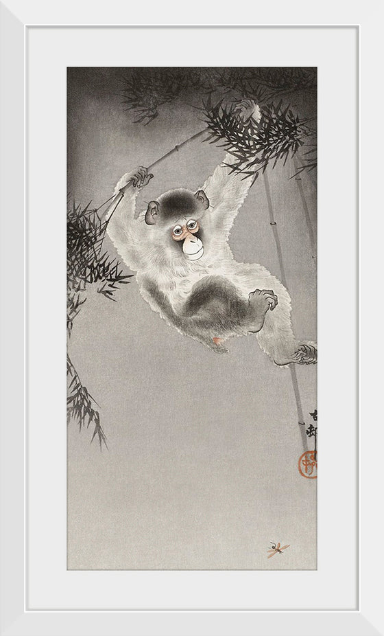 "Monkey, Hanging from Bamboo Branch", Ohara Koson