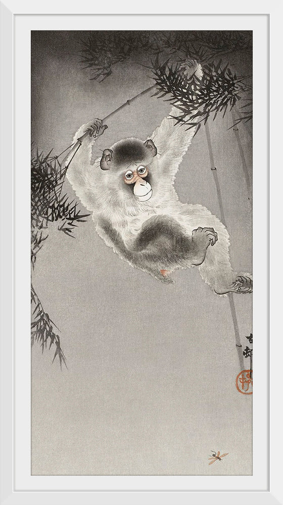 "Monkey, Hanging from Bamboo Branch", Ohara Koson