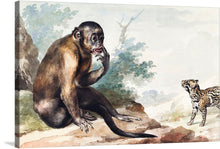  Indulge your senses with the whimsical charm of "A Monkey Sitting on a Rock Looking at a Civet" by Aert Schouman, now available as a captivating print. Aert Schouman, an 18th-century Dutch painter and ornithologist, enchanted audiences with his masterful depictions of nature, seamlessly blending artistry and scientific precision in his captivating renderings of birds and wildlife.