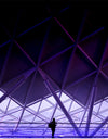 "Purple Architecture", Brandon Wong