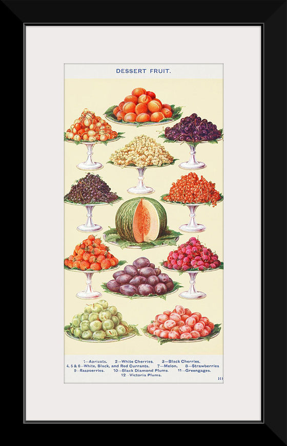 "Dessert Fruit from Mrs. Beeton's Book of Household Management"