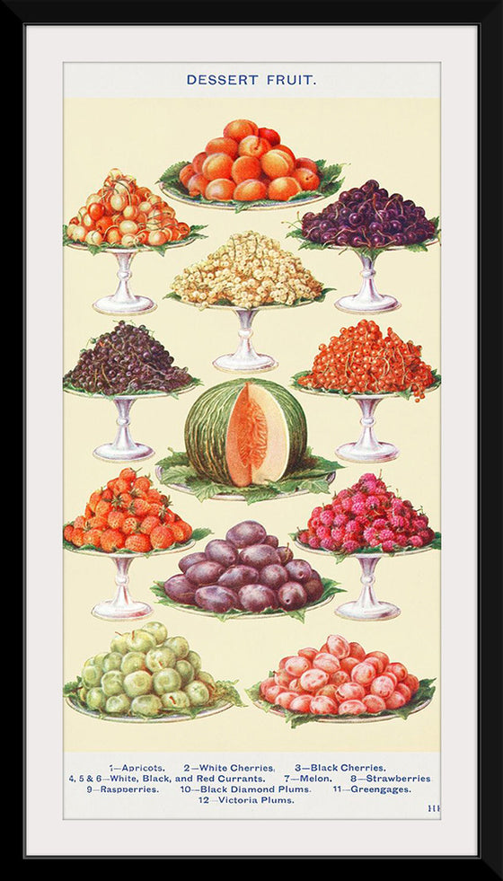 "Dessert Fruit from Mrs. Beeton's Book of Household Management"