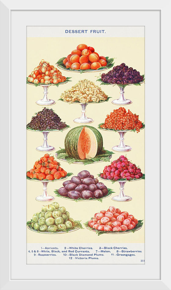 "Dessert Fruit from Mrs. Beeton's Book of Household Management"