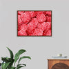 "Hand Drawn Raspberries"