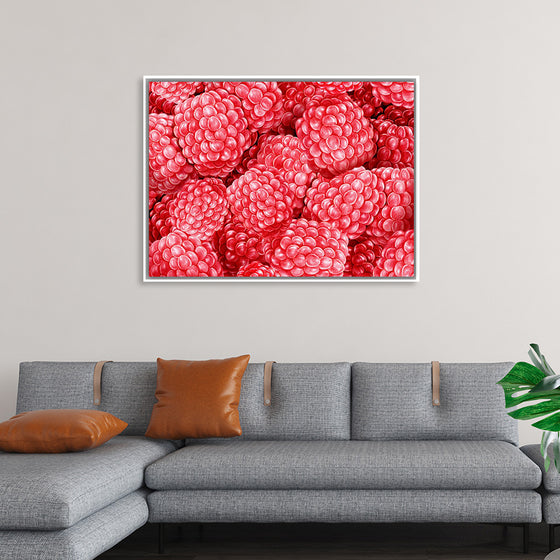 "Hand Drawn Raspberries"