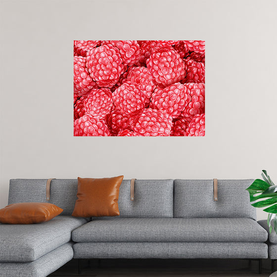 "Hand Drawn Raspberries"