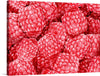 Immerse yourself in the vibrant and tantalizing visual experience offered by this exquisite print artwork. A sea of luscious raspberries, captured in stunning detail, invites viewers into a world where the simplicity of nature meets the complexity of artistry. Each berry is a symphony of texture and color, promising to be not just a visual treat but an exploration of nature’s intricate beauty.