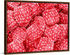 "Hand Drawn Raspberries"