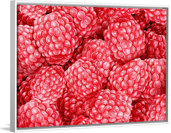 "Hand Drawn Raspberries"