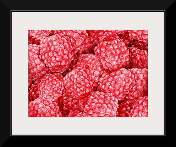 "Hand Drawn Raspberries"