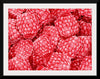 "Hand Drawn Raspberries"