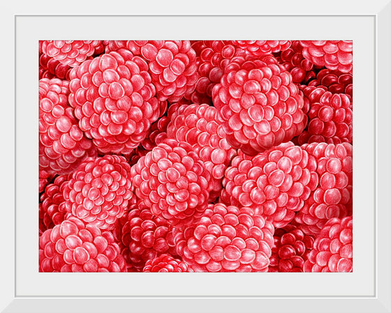 "Hand Drawn Raspberries"