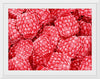 "Hand Drawn Raspberries"