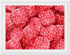 "Hand Drawn Raspberries"