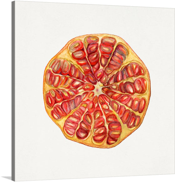 Immerse yourself in the vibrant and intricate beauty of this exquisite art print. The artwork captures the mesmerizing details of a sliced pomegranate. Each seed, rich with color and texture, is rendered with meticulous precision, inviting viewers into a world where nature’s simplicity meets artistic elegance. The warm hues of red and gold are accentuated by delicate shading, offering a visual feast that enriches any space with an aura of sophistication and natural beauty. 