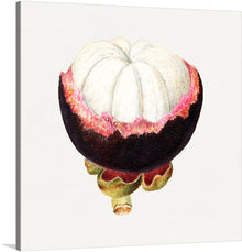  Immerse yourself in the intricate details of this exquisite artwork, a print capturing the raw beauty of nature’s offerings. The meticulous rendering of a mangosteen, with its rich, dark outer shell contrasted by the soft, delicate interior, is a testament to the artist’s mastery. Every stroke and hue is designed to transport you to a world where nature’s simplicity meets art’s complexity—a piece that is as much a conversation starter as it is a serene escape.