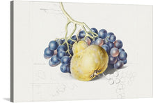  “Stilleven met druiven en een peer” by Georgius Jacobus Johannes van Os invites you into the exquisite elegance of nature’s bounty. This masterful artwork captures the ethereal beauty of plump grapes and a succulent pear. The meticulous detailing, from the intricate patterns on the pear to the luscious clusters of grapes, transports you to a moment frozen in time. 