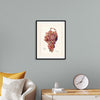 "Vintage Bunch of Red Grape Illustration"