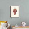 "Vintage Bunch of Red Grape Illustration"