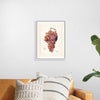 "Vintage Bunch of Red Grape Illustration"