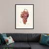 "Vintage Bunch of Red Grape Illustration"