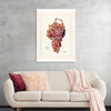 "Vintage Bunch of Red Grape Illustration"