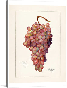  Experience the vibrant allure of this exquisite artwork, a print that brings to life a bunch of grapes with such realism, you can almost taste their juicy sweetness. The artist’s mastery of light and shadow breathes depth into each grape, their varying shades of red and green indicating different stages of ripeness.