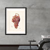 "Vintage Bunch of Red Grape Illustration"