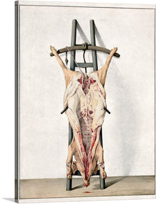  The image is of a pig carcass hanging from a wooden frame, with the pig’s body split open to reveal its insides. The colors are muted and the lines are precise, creating a realistic and almost scientific feel.