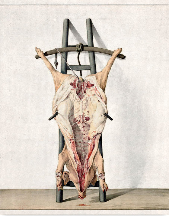 "Dead pig", Jean Bernard