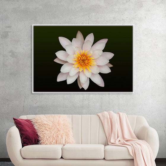 "Close Up of a White Lotus Flower"